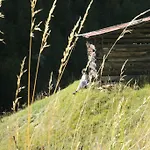 Hotel Garni Alvetern Samnaun
